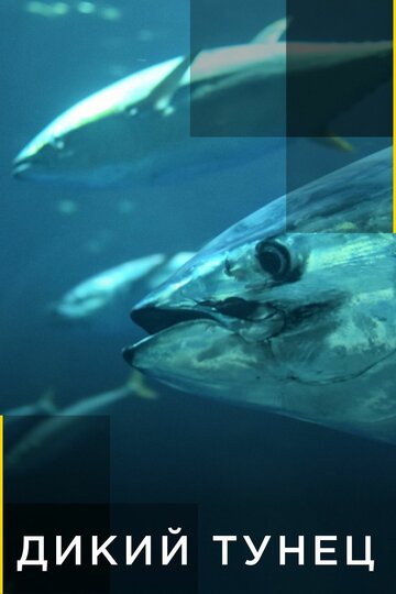 Смотреть Дикий тунец (2012) онлайн в Хдрезка качестве 720p