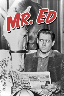 Смотреть Мистер Эд (1958) онлайн в Хдрезка качестве 720p