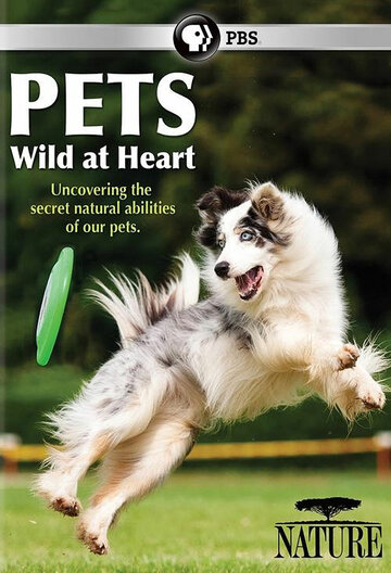 Смотреть Pets: Wild at Heart (2015) онлайн в Хдрезка качестве 720p