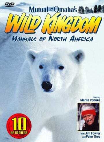 Смотреть Царство животных (2002) онлайн в Хдрезка качестве 720p