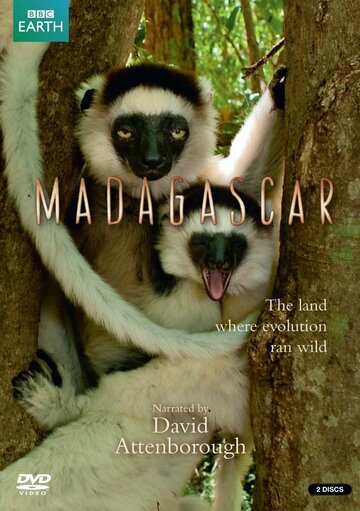 Смотреть BBC: Мадагаскар (2011) онлайн в Хдрезка качестве 720p
