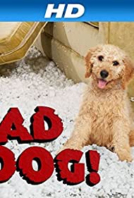 Смотреть Плохой пес (2010) онлайн в Хдрезка качестве 720p